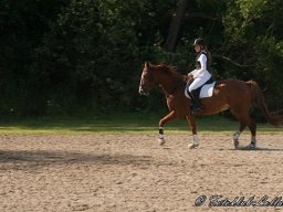 img-98571-567